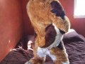 1265921362.kiowolf_dsc_3280.jpg